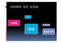 [사회학] 성매매 합법화에 대하여-14