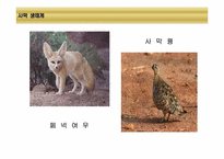 [환경생태학] 세계 주요 생태계와 분류-6