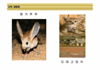 [환경생태학] 세계 주요 생태계와 분류-7