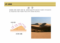 [환경생태학] 세계 주요 생태계와 분류-16