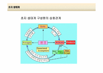 [환경생태학] 세계 주요 생태계와 분류-19