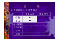 [경제학원론]환율변동에 따른 경제적 효과-9