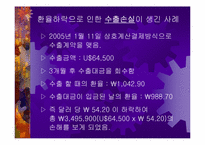 [경제학원론]환율변동에 따른 경제적 효과-14