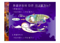 [경제학원론]환율변동에 따른 경제적 효과-17