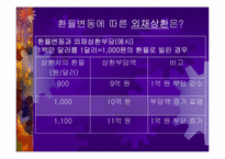 [경제학원론]환율변동에 따른 경제적 효과-19