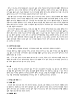 범죄예방을 위한 CCTV의 확대의 문제점과 개선방안-11