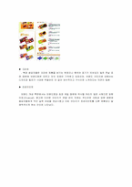 [국제경영] 오리온 초코파이 해외진출사례-8