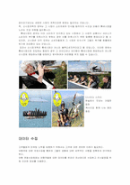 [관광마케팅] 여행시장 조사-7