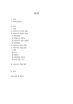 [관광학] 아바시리 유빙관광-2