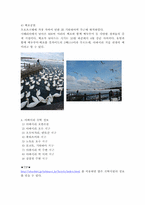 [관광학] 아바시리 유빙관광-8