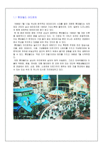 [관광 마케팅] 롯데월드 마케팅 전략-3