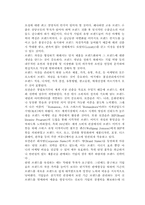 [국제경영] 로만손 해외시장 진출 성공 사례-4