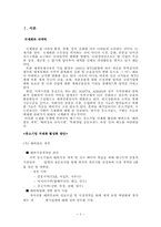 [국제경영] 중소기업 국제화-쉬메릭의 국제화 전략-2