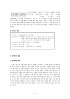 [국제경영] 중소기업 국제화-쉬메릭의 국제화 전략-6