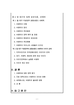 [국제경영] 지방정부 정책 사례-`대구브랜드`의 세계화를 위한 쉬메릭 의의와 영향-2