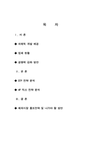[국제경영] 쉬메릭의 해외시장 홍보전략 및 방안-1