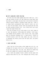 [국제경영] 쉬메릭의 해외시장 홍보전략 및 방안-2