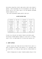 [국제경영] 쉬메릭의 해외시장 홍보전략 및 방안-3