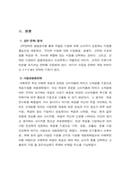 [국제경영] 쉬메릭의 해외시장 홍보전략 및 방안-6