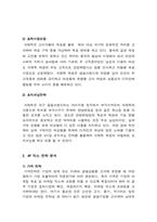 [국제경영] 쉬메릭의 해외시장 홍보전략 및 방안-7