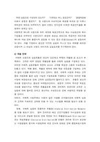 [국제경영] 쉬메릭의 해외시장 홍보전략 및 방안-9