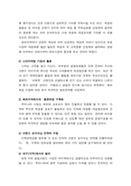 [국제경영] 쉬메릭의 해외시장 홍보전략 및 방안-11