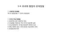 [국제경제] 유로화 통합의 문제점-6
