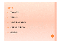 [경영전략] Tesco의 현지화 전략-2