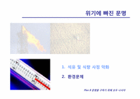 [국제자원론] 레스터브라운의 PLAN B 3.0과 문명의 위기-18