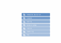 [산업마케팅] 대형할인점 & 홈쇼핑 시장-2