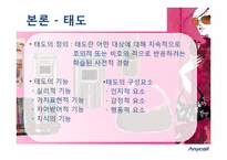 [소비자행동론] 애니콜 사례를 통한 소비자 태도형성 분석-4