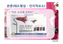 [소비자행동론] 애니콜 사례를 통한 소비자 태도형성 분석-9