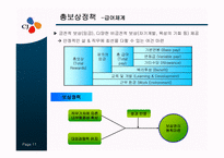 [인력경영론] CJ의 인사제도-11