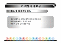[환경경제학] 새만금사업의 향후 쟁점과 과제-12