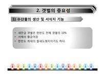 [환경경제학] 새만금사업의 향후 쟁점과 과제-13