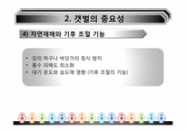 [환경경제학] 새만금사업의 향후 쟁점과 과제-14