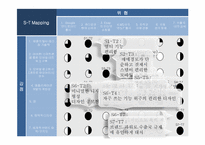 [경영정보] 애플 맵핑 분석 및 최종전략-3