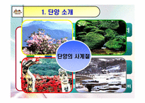 [관광자원론] 단양 `온달관광지` 관리실태 및 개선방안-3