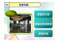 [관광자원론] 단양 `온달관광지` 관리실태 및 개선방안-13