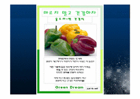 [마케팅관리] 신개념 식품 매장 사업보고서 및 마케팅 전략-15
