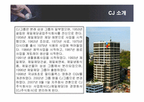 [인적자원관리] CJ인사제도와 인재경영-3