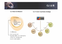 [인적자원관리] CJ인사제도와 인재경영-4