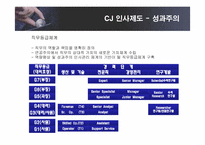 [인적자원관리] CJ인사제도와 인재경영-13