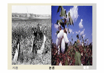 [세계경제사] 영국 산업혁명의 비평 및 의의-10