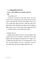 [경영정보] 애플 맵핑 분석 및 최종전략-2