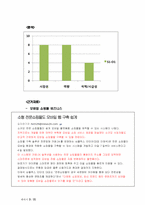 [경영정보] 애플 맵핑 분석 및 최종전략-3