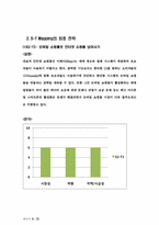 [경영정보] 애플 맵핑 분석 및 최종전략-9
