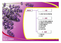 [마케팅사례] 개인 마사지샵의 마케팅 전략 제안-2