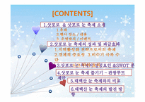 [이벤트개론] 삿포로 눈 축제 성공요인(태백산 눈 축제와 비교)-2