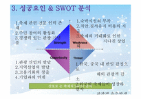 [이벤트개론] 삿포로 눈 축제 성공요인(태백산 눈 축제와 비교)-12